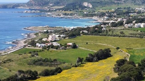 Favignana Sicily - The Aloe Garden