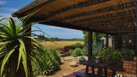 Favignana Sicily - The Aloe Garden